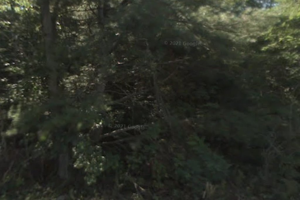 Homeport Veterinary Practice