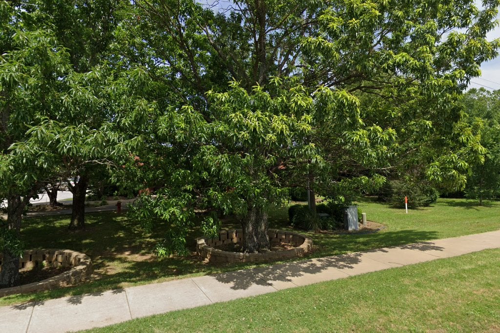 Fayetteville Animal Services