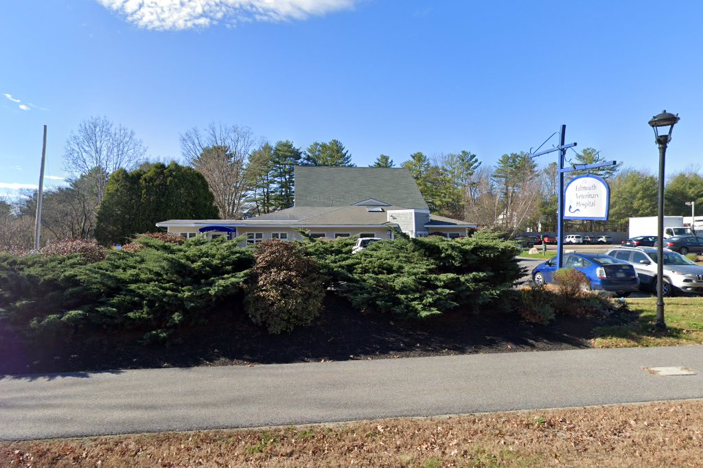 Falmouth Veterinary Hospital