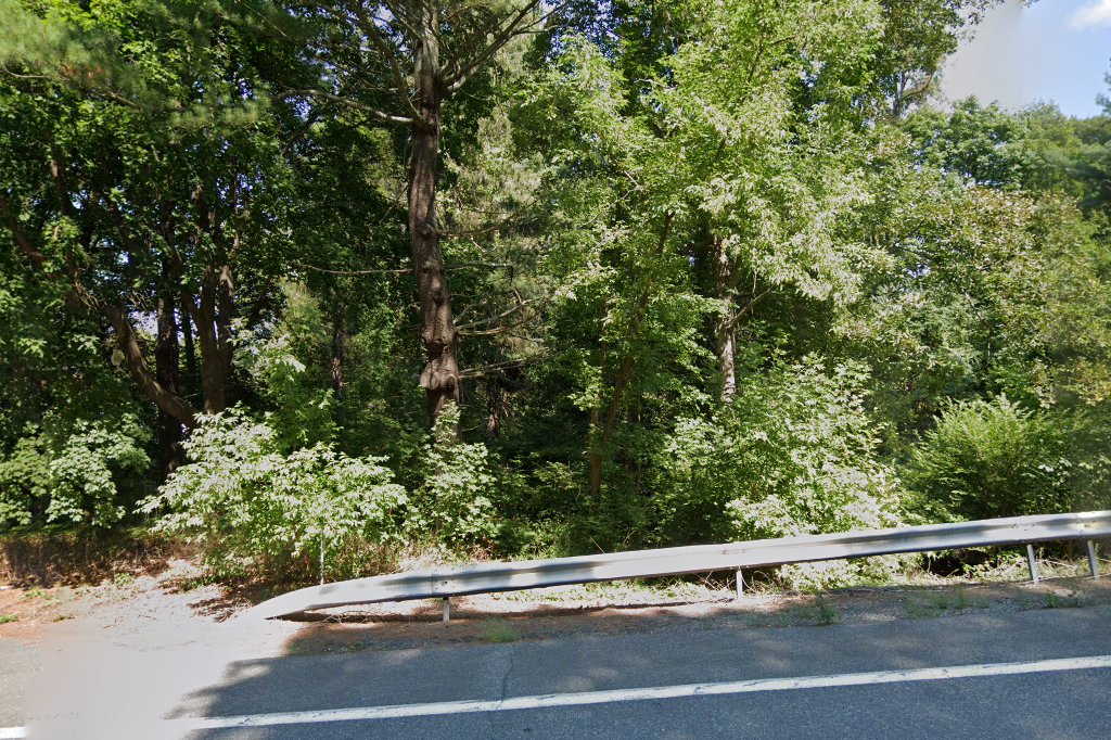 Village Animal Hospital