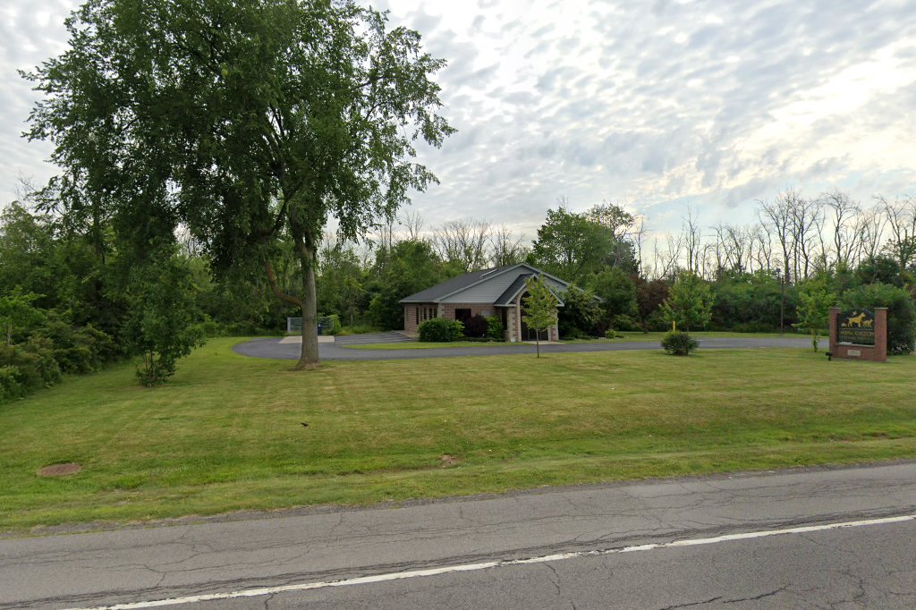 Animal Kingdom Veterinary Hospital