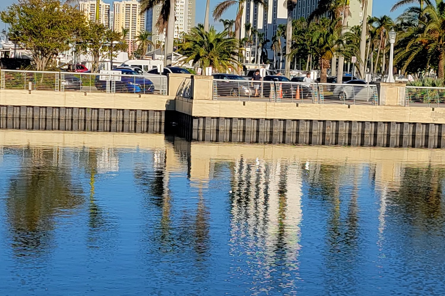 Shadowland Dalmatian Rescue