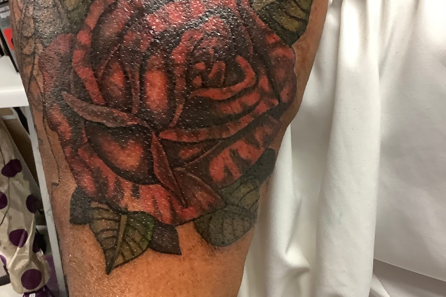 Central Maine Veterinary Hospital