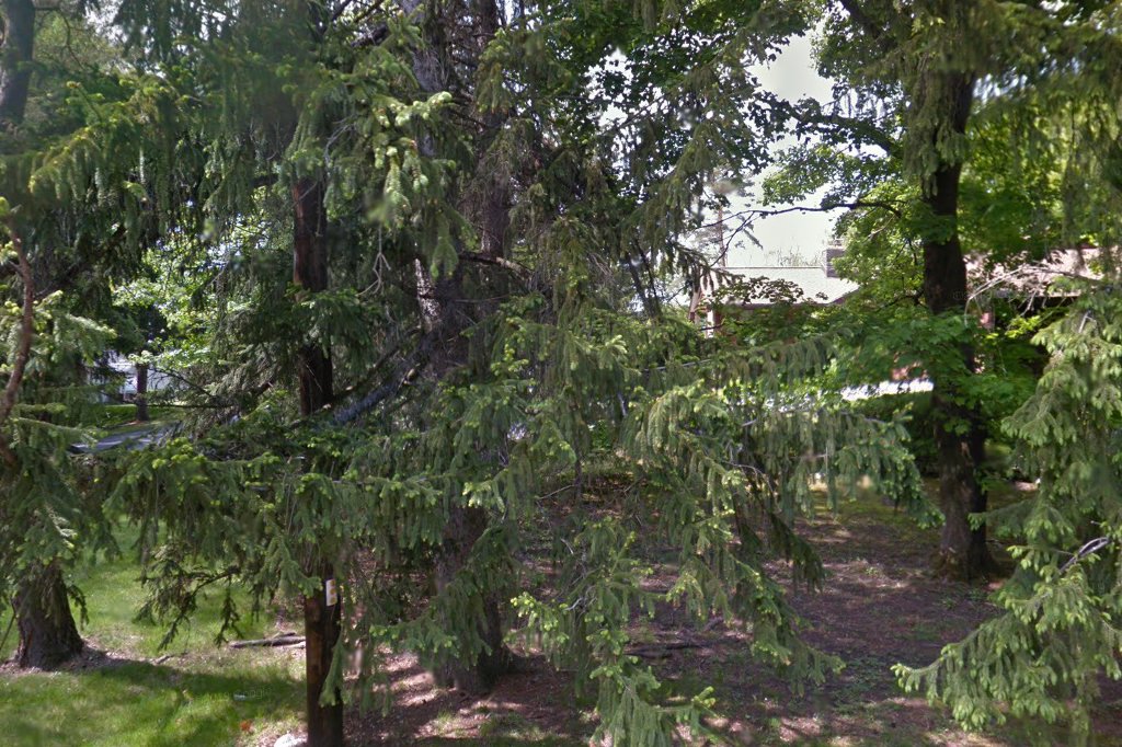 Catskill Animal Hospital