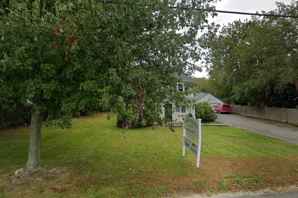 Hampton Veterinary Hospital