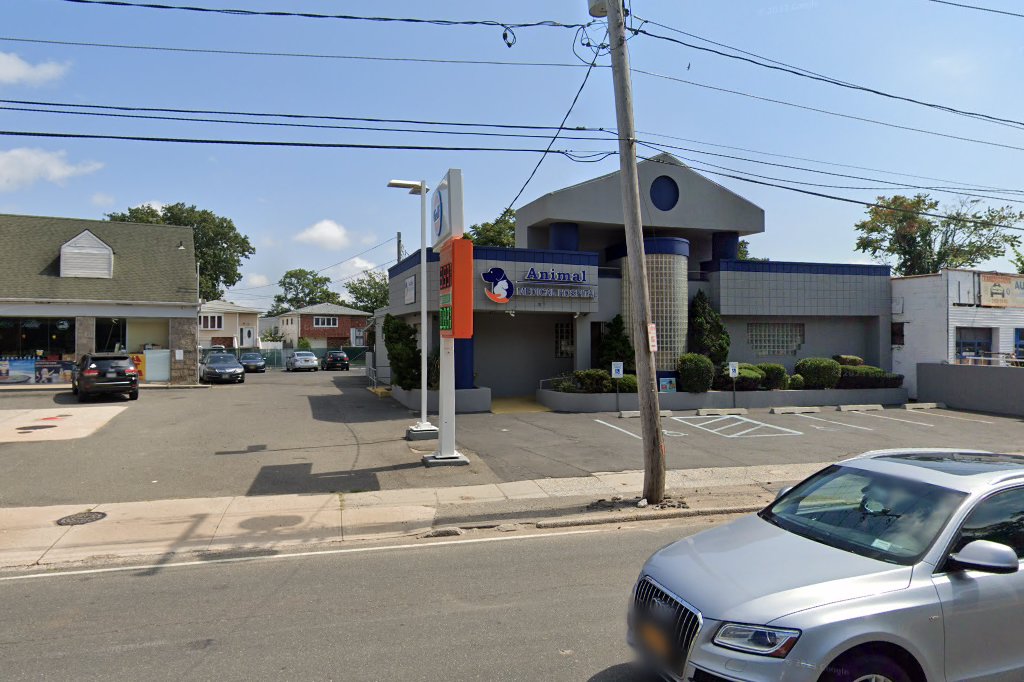 Animal Medical Hospital