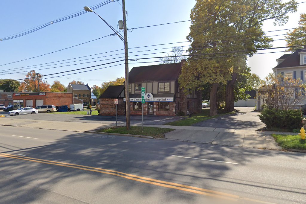 Blue Cross Small Animal Clinic