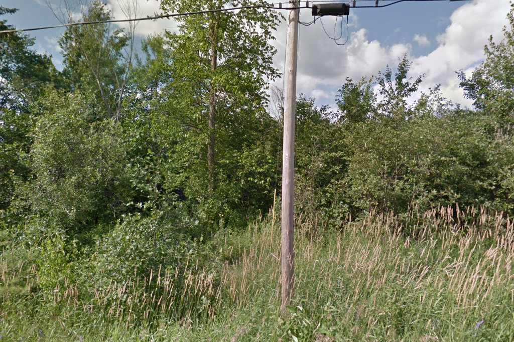 Little Wanderers Animal Adoption