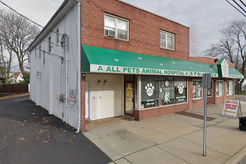 All Pets Animal Hospital