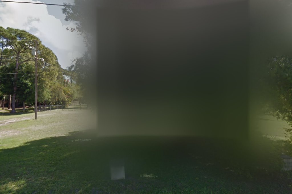 Feathered Friends Adoption & Rescue