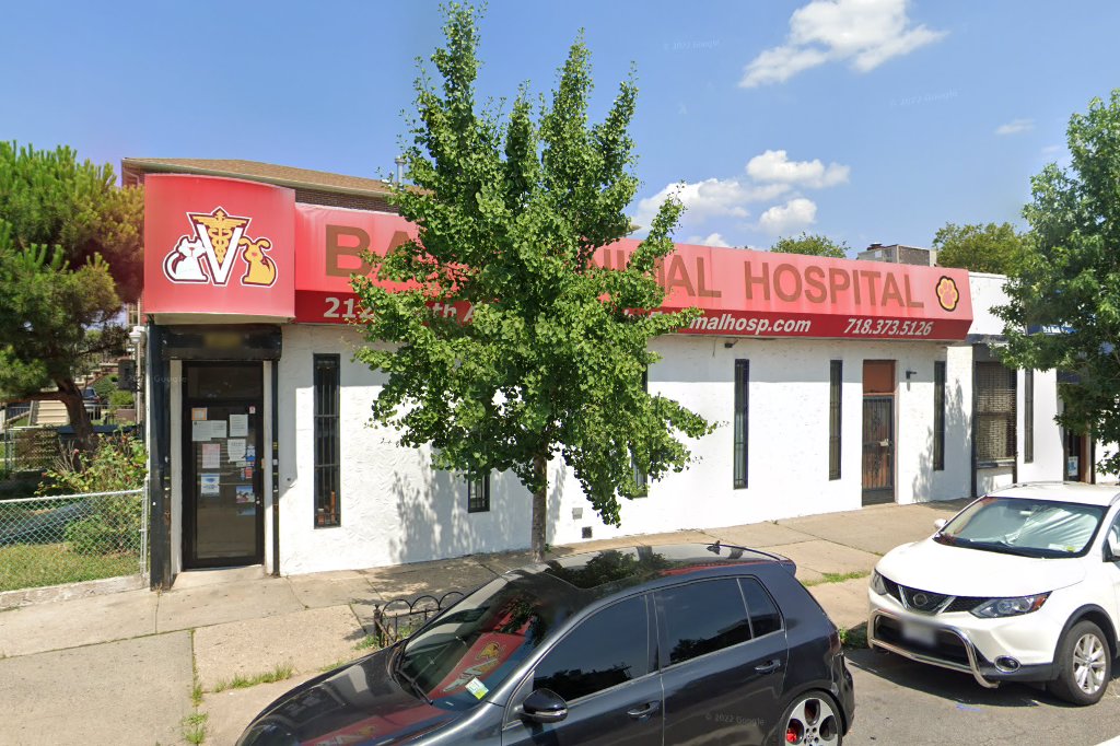 Bath Animal Hospital