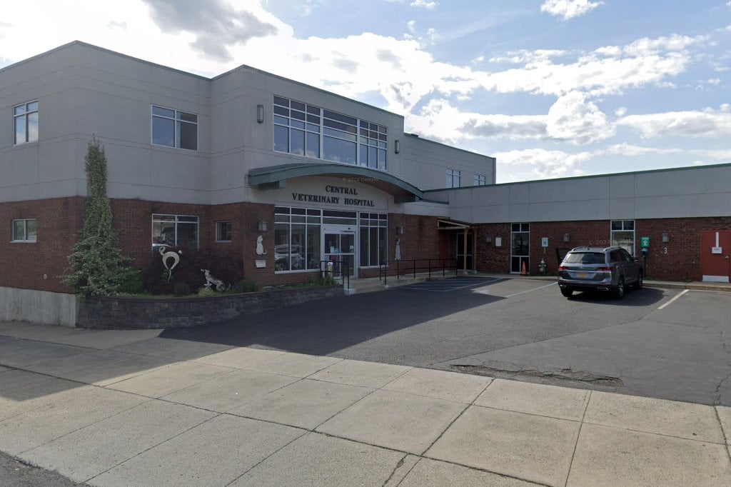 Central Veterinary Hospital