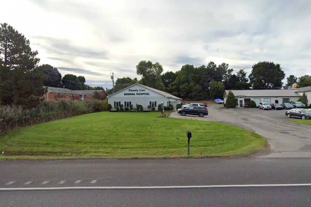 County Line Animal Hospital