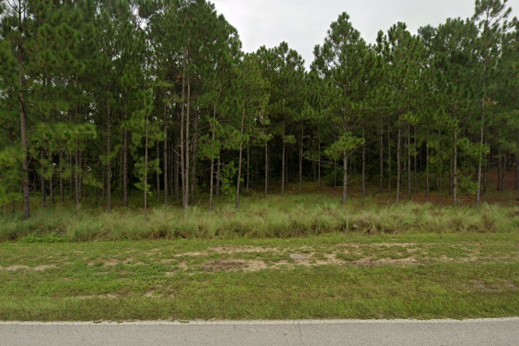 Winter Garden Animal Shelter