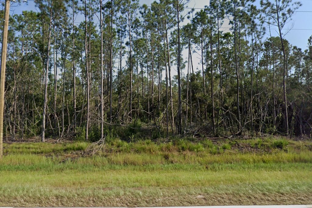 Panama City Animal Control