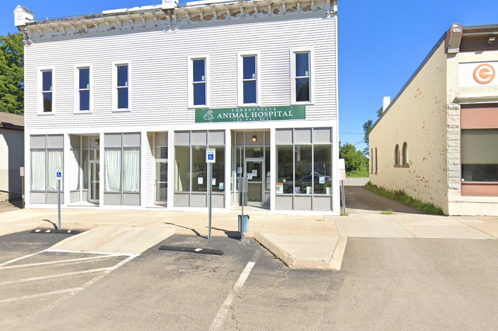 Forestville Animal Hospital