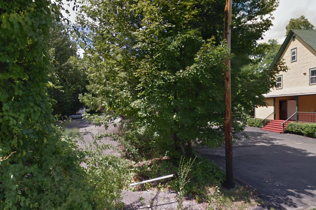 Olive Animal Hospital