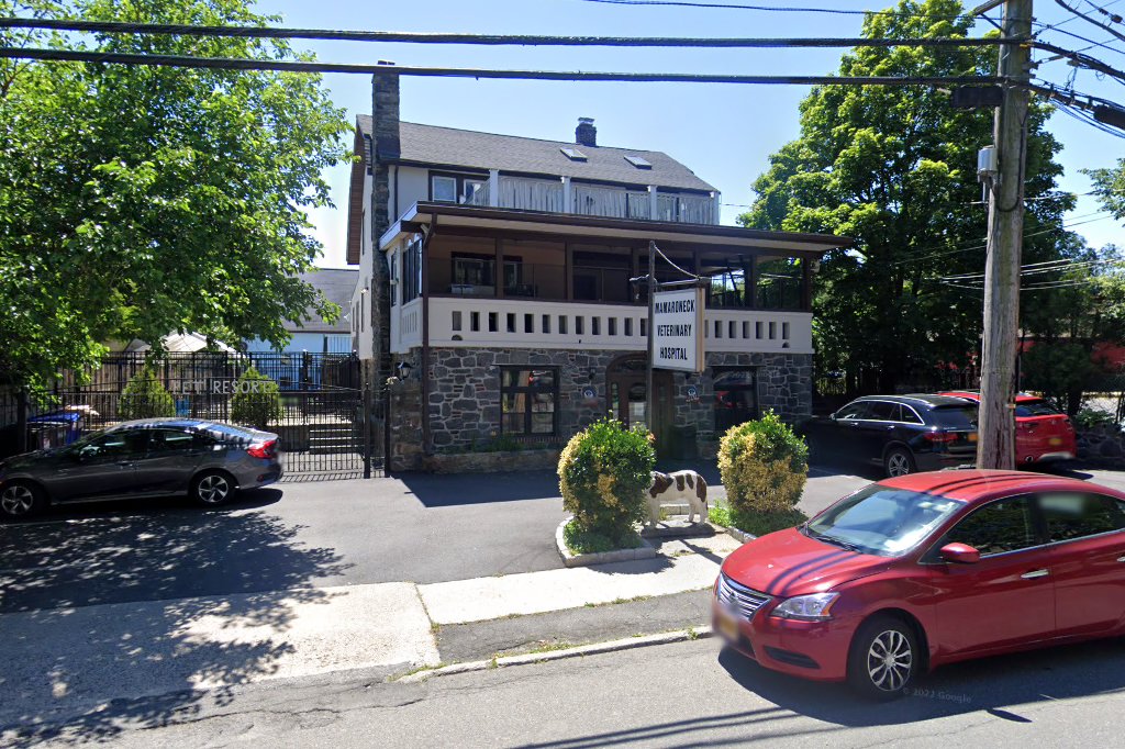Mamaroneck Veterinary Hospital