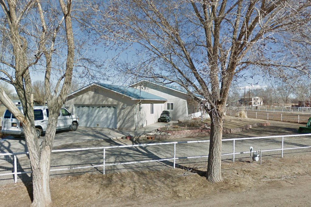 Chihuahua Rescue and Transport