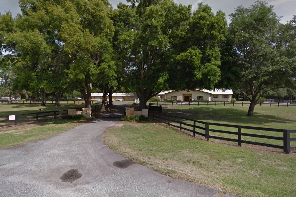 Central Equine Hospital