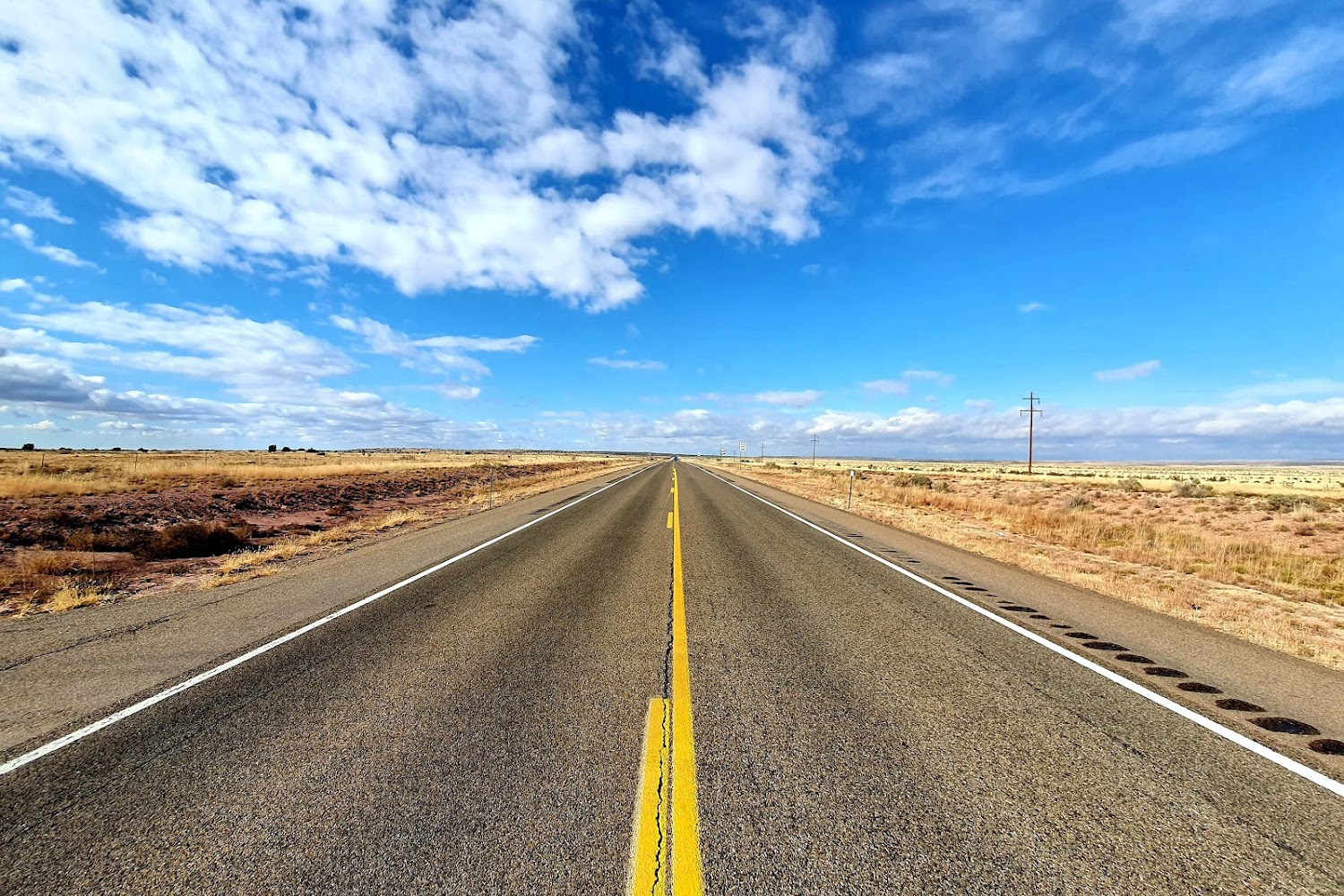 Debaca County Animal Control