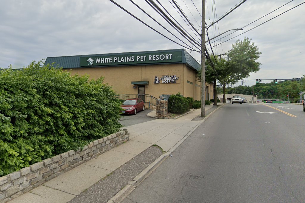 Progressive Animal Hospital