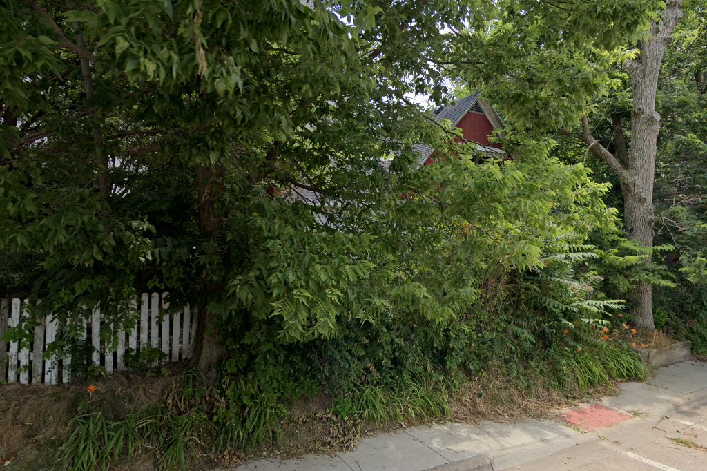 Animal Birth Control