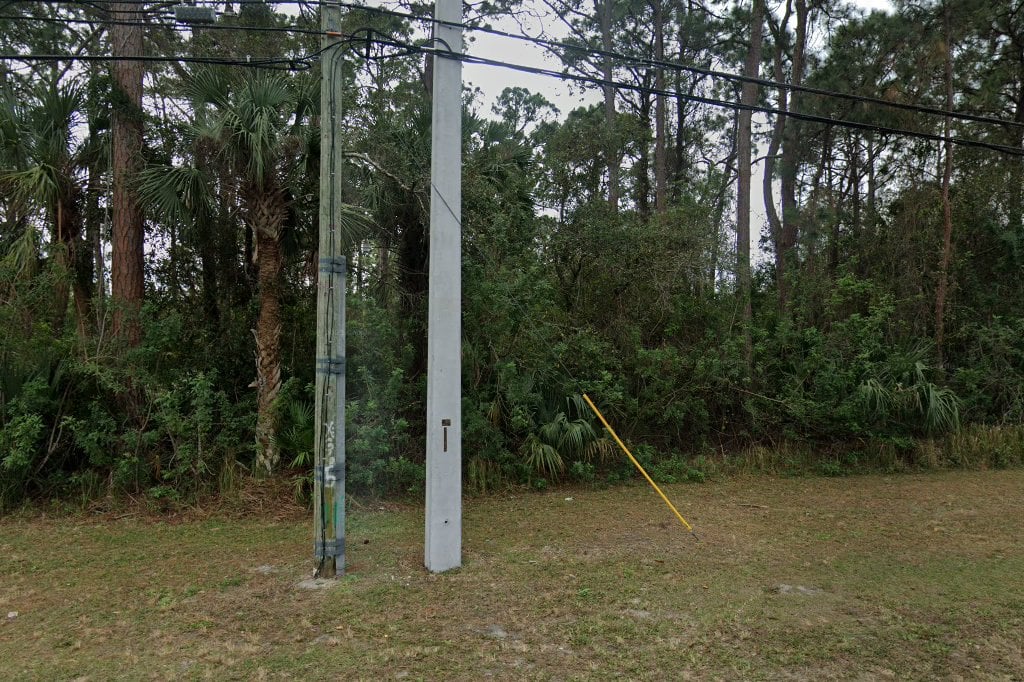 Malabar Road Pet Hospital