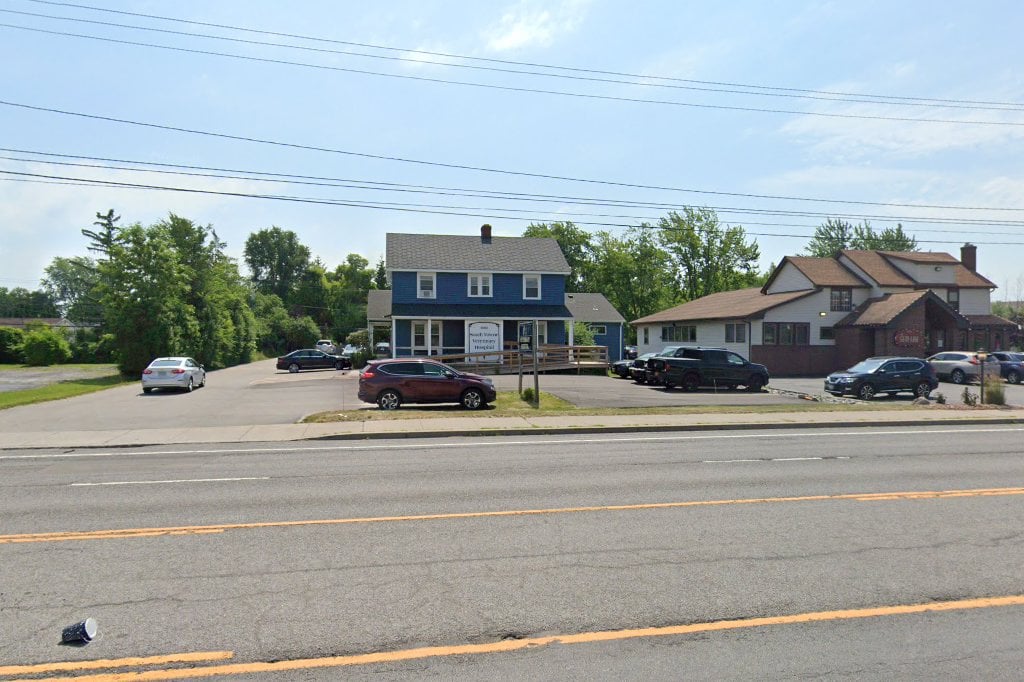 South Towne Veterinary Hospital