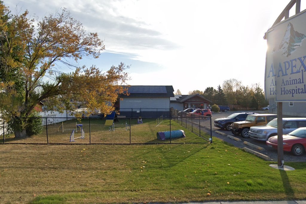 Apex Animal Hospital