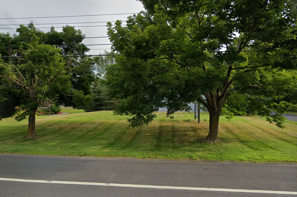 Village Veterinary Hospital