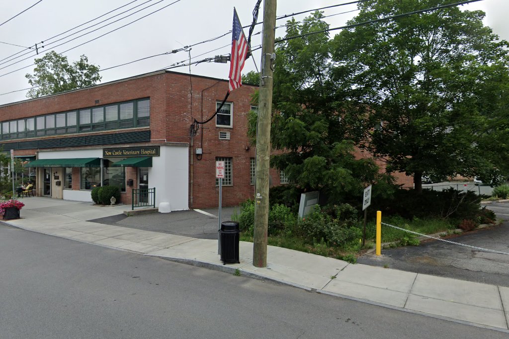 New Castle Veterinary Hospital