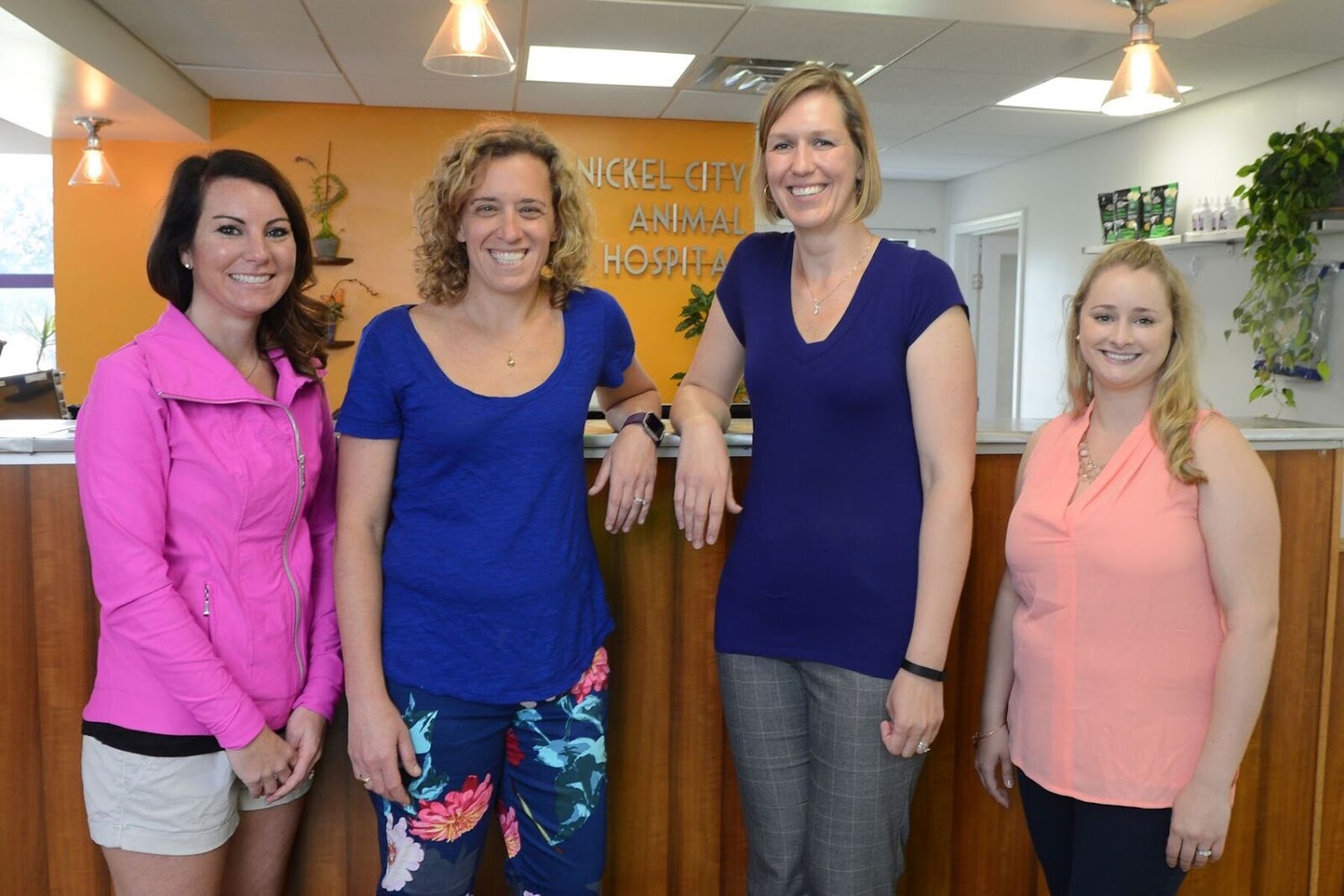 Nickel City Animal Hospital