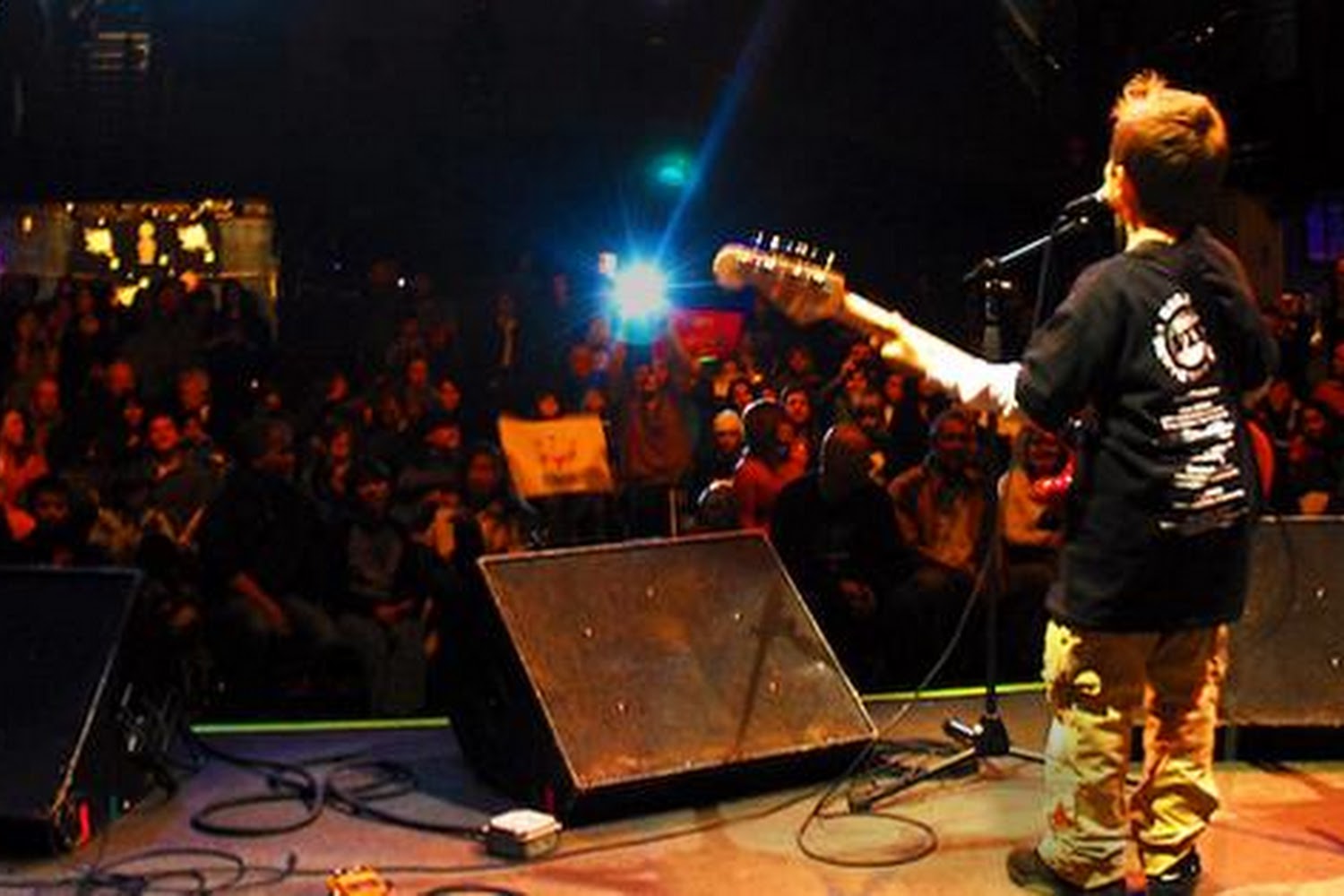 Animal Hospital of Lake Mary