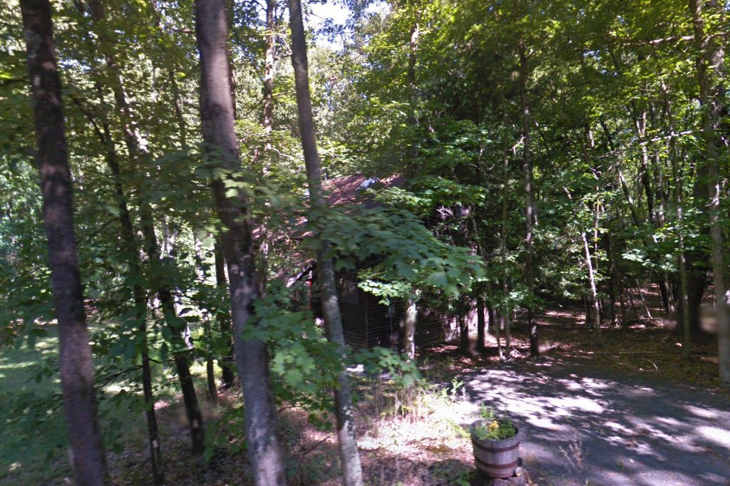 Friends of Shelter Animals