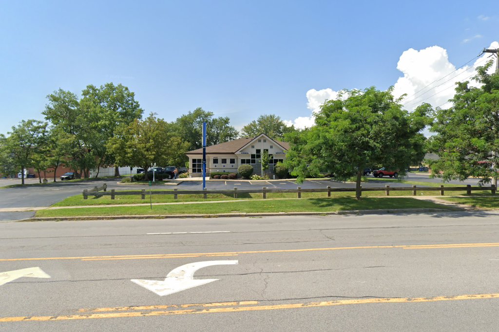 Transit Animal Hospital