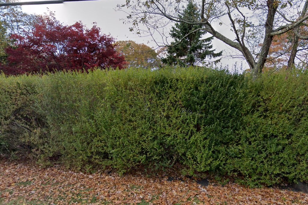 Welcome Home Sanctuary, Inc.