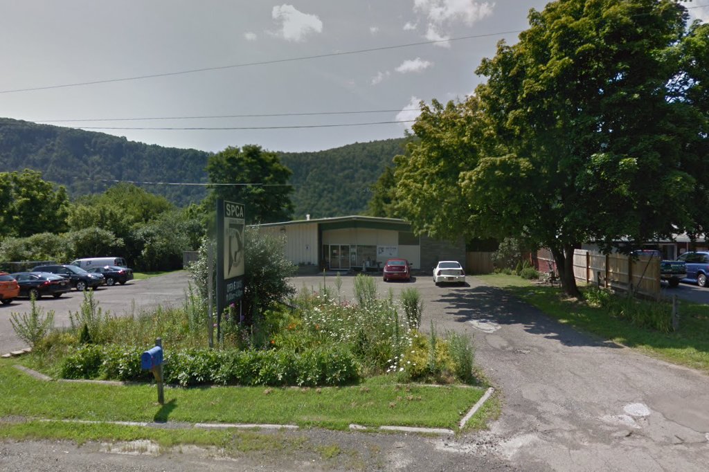 Chemung County Humane Society & SPCA