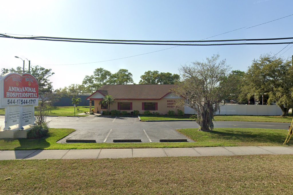 Brock Animal Hospital