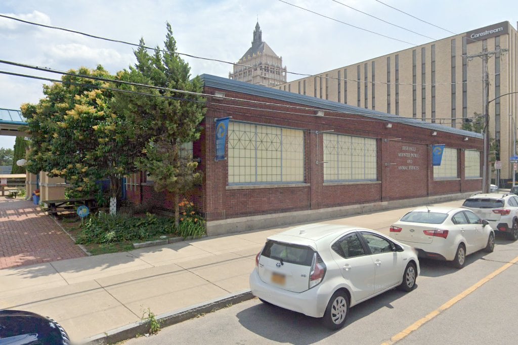 Rochester Animal Services