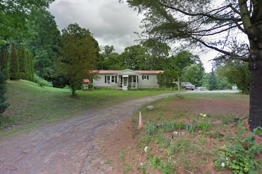 Beaks and Noses, Inc.