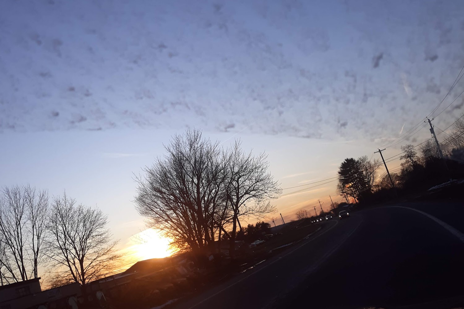 Wanderers Rest Humane Association Inc