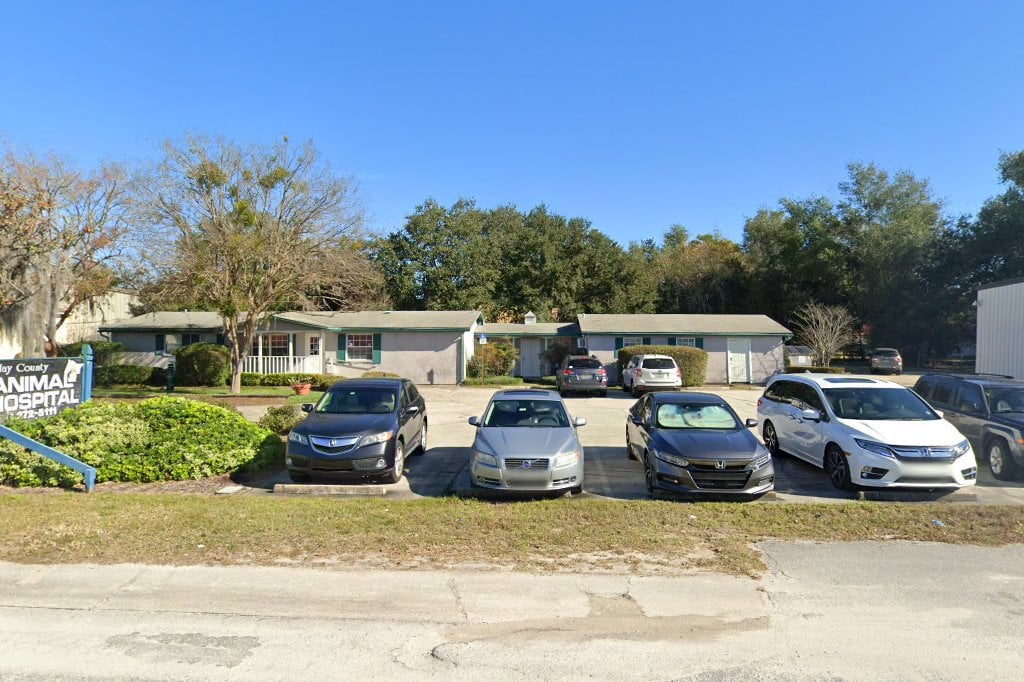 Clay County Animal Hospital