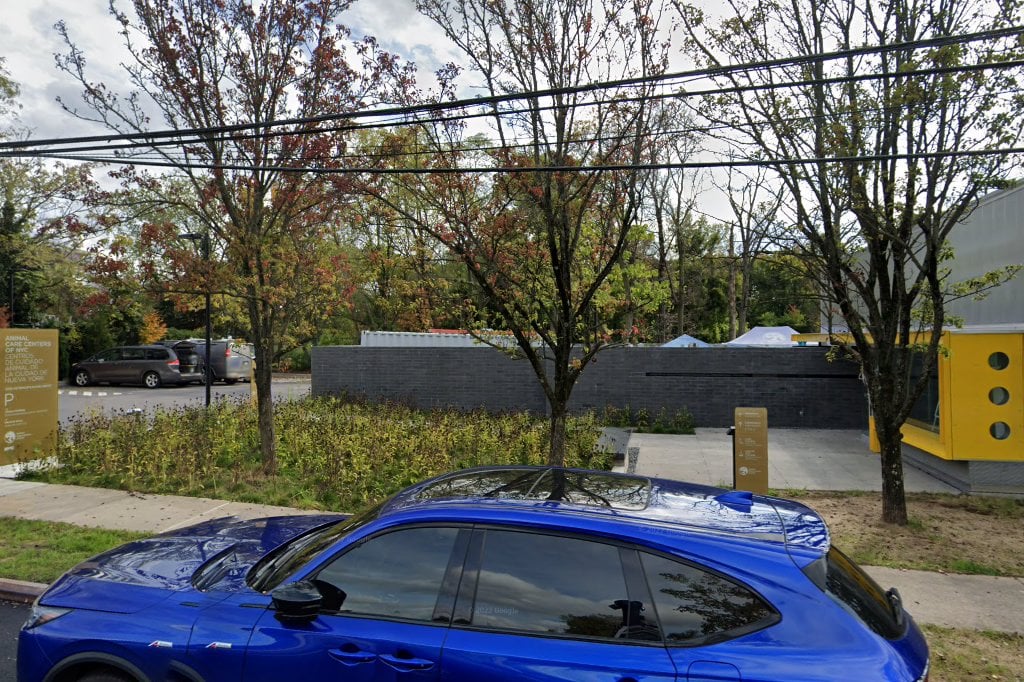 Staten Island Animal Control