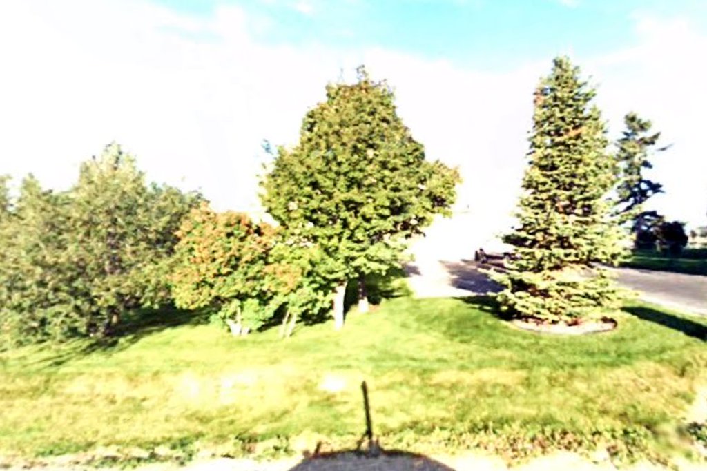 Kittymom's Animal Rescue