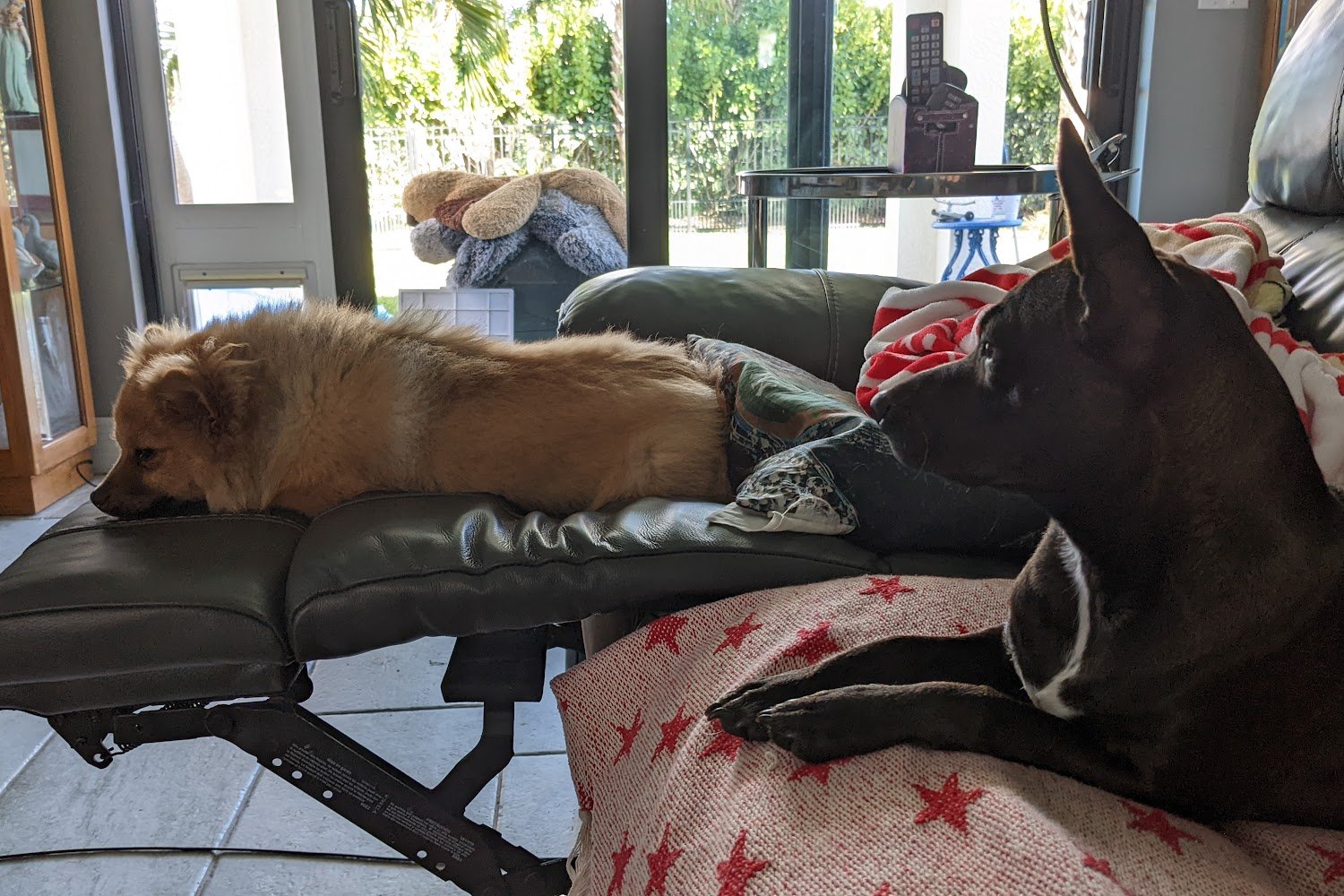 Florida Veterinary Referral Center