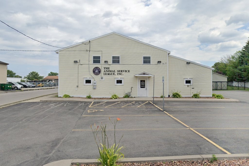 Animal Service League