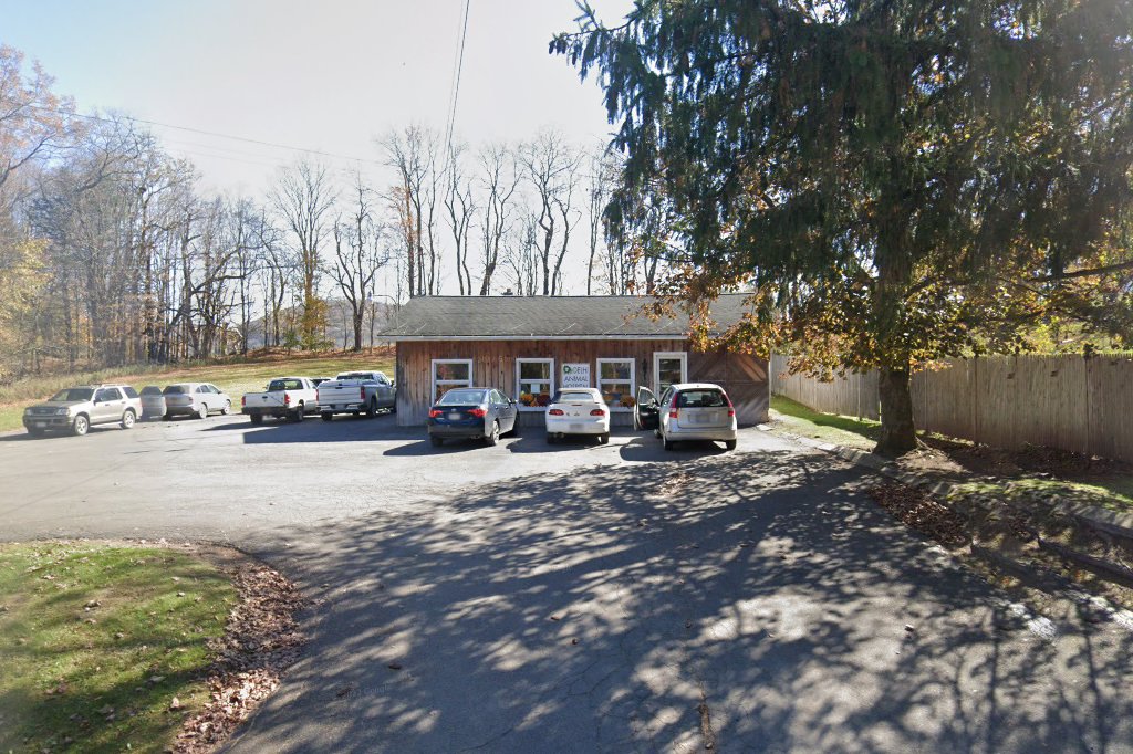 Delhi Animal Hospital