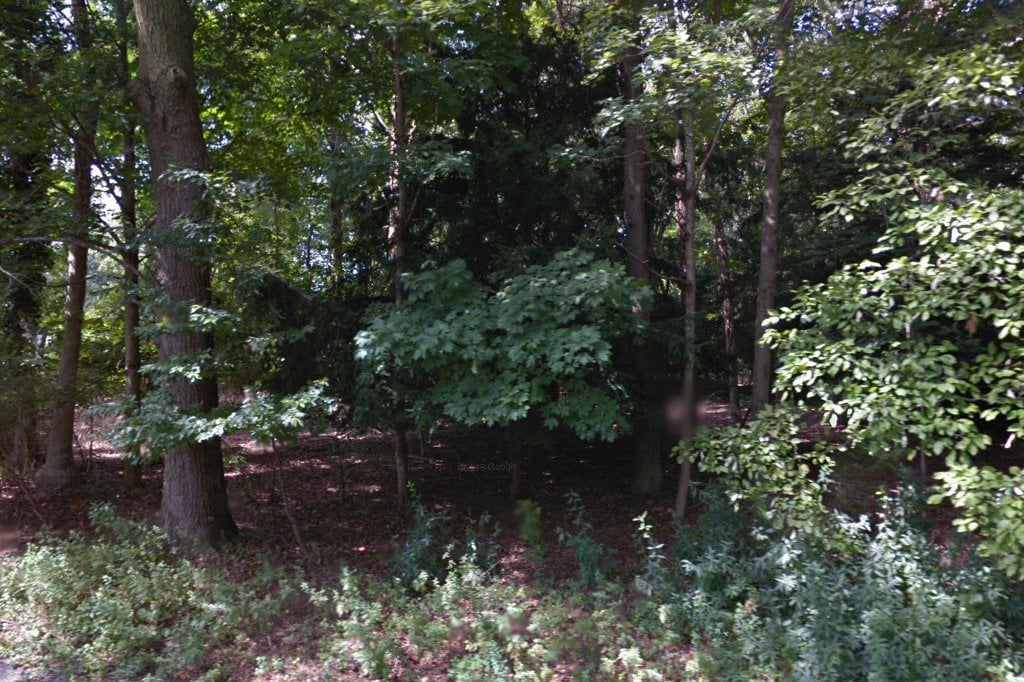 Canine Animal Rescue Effort of America, Inc.