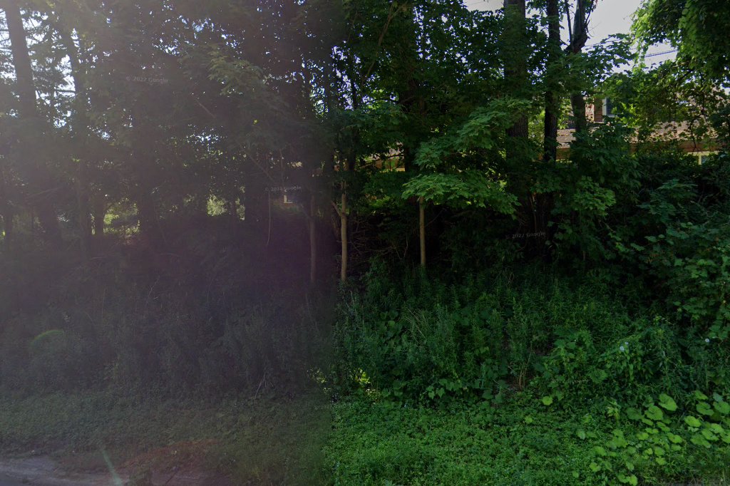 Lakeview Veterinary Hospital